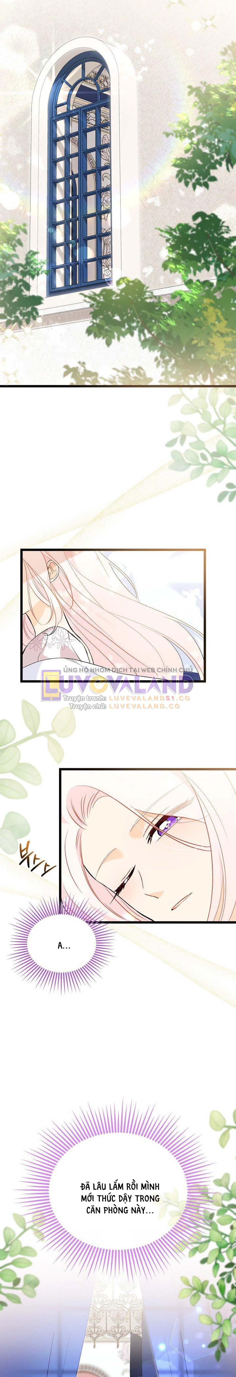 Mối Liên Kết Giữa Báo Đen Và Bé Thỏ Chapter 132 - Trang 2