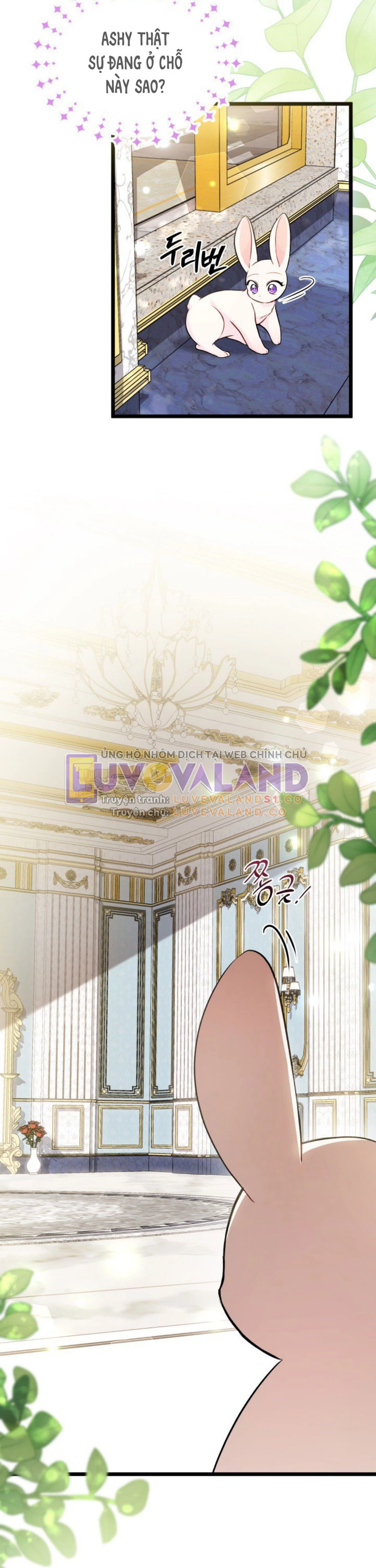 Mối Liên Kết Giữa Báo Đen Và Bé Thỏ Chapter 134 - Trang 2