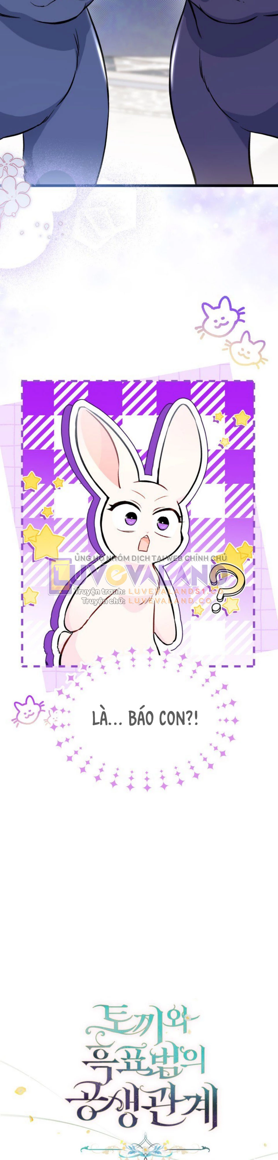 Mối Liên Kết Giữa Báo Đen Và Bé Thỏ Chapter 134 - Trang 2