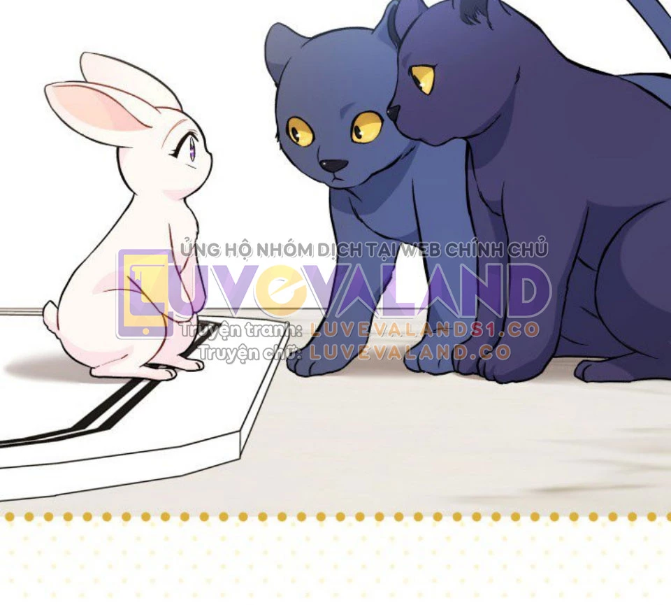 Mối Liên Kết Giữa Báo Đen Và Bé Thỏ Chapter 134 - Trang 2