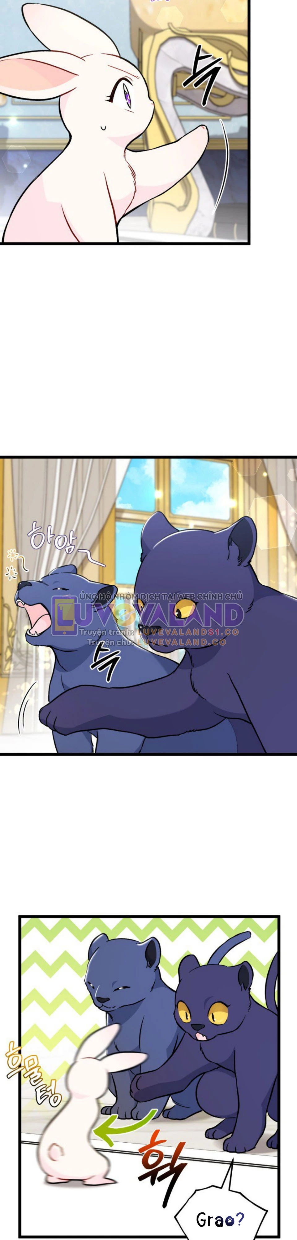 Mối Liên Kết Giữa Báo Đen Và Bé Thỏ Chapter 134 - Trang 2