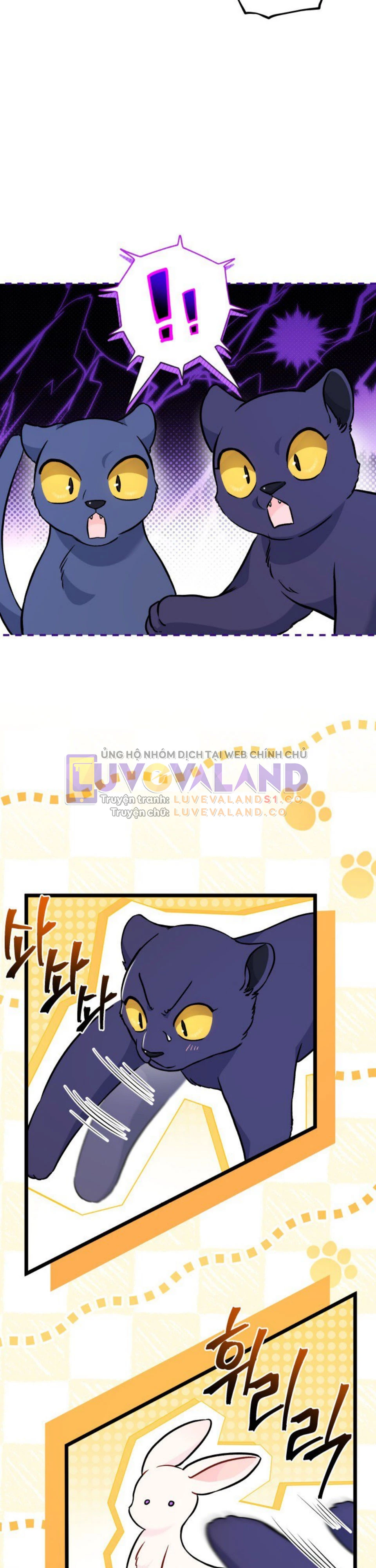Mối Liên Kết Giữa Báo Đen Và Bé Thỏ Chapter 134 - Trang 2