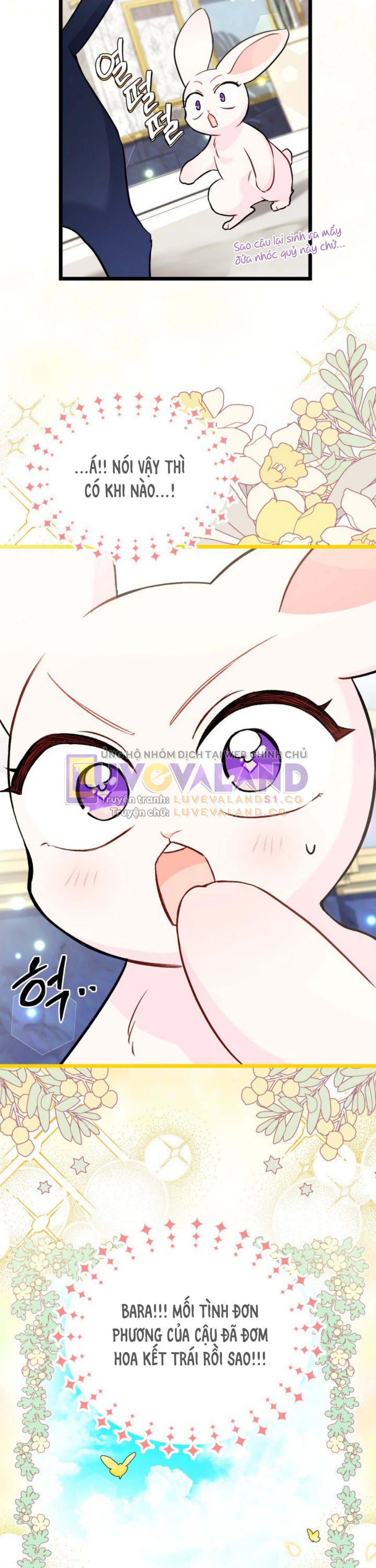 Mối Liên Kết Giữa Báo Đen Và Bé Thỏ Chapter 134 - Trang 2