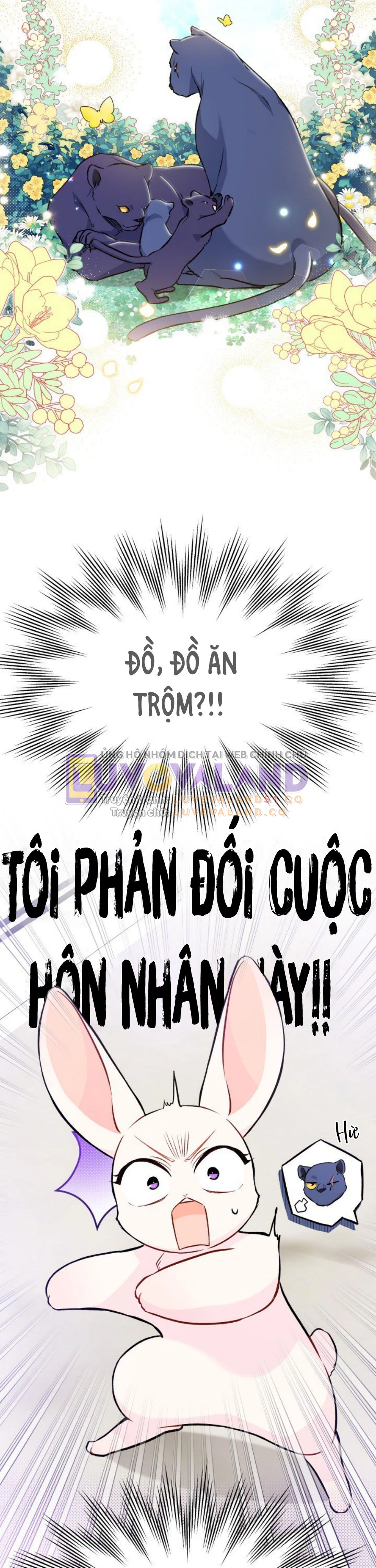 Mối Liên Kết Giữa Báo Đen Và Bé Thỏ Chapter 134 - Trang 2