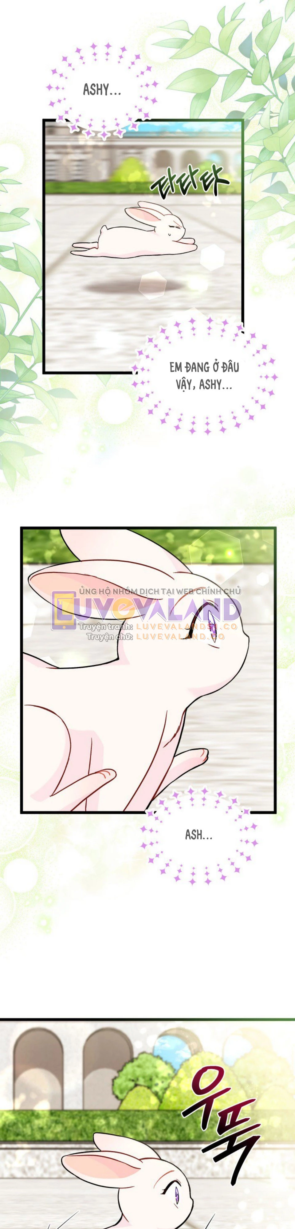 Mối Liên Kết Giữa Báo Đen Và Bé Thỏ Chapter 134 - Trang 2