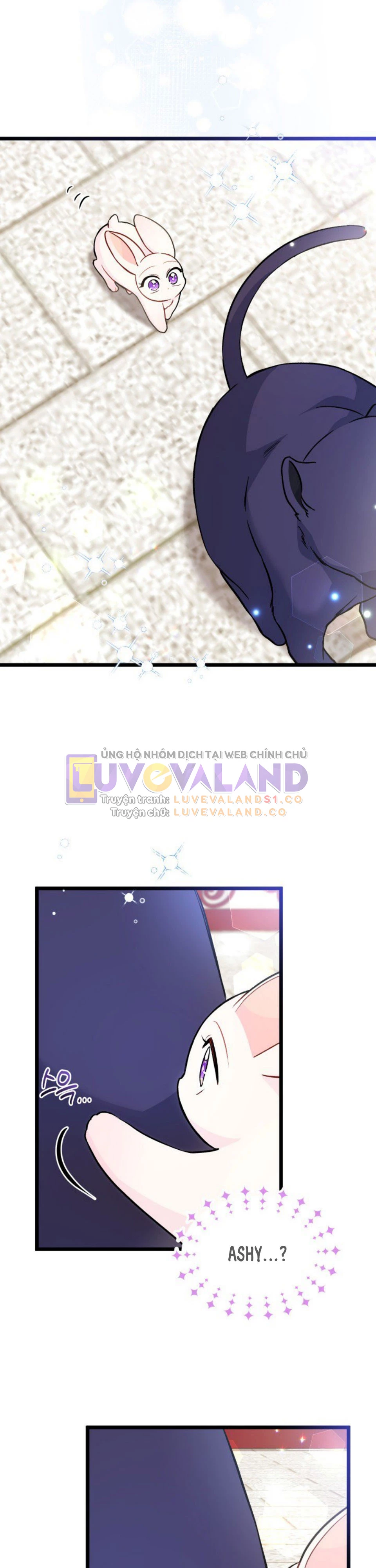 Mối Liên Kết Giữa Báo Đen Và Bé Thỏ Chapter 134 - Trang 2