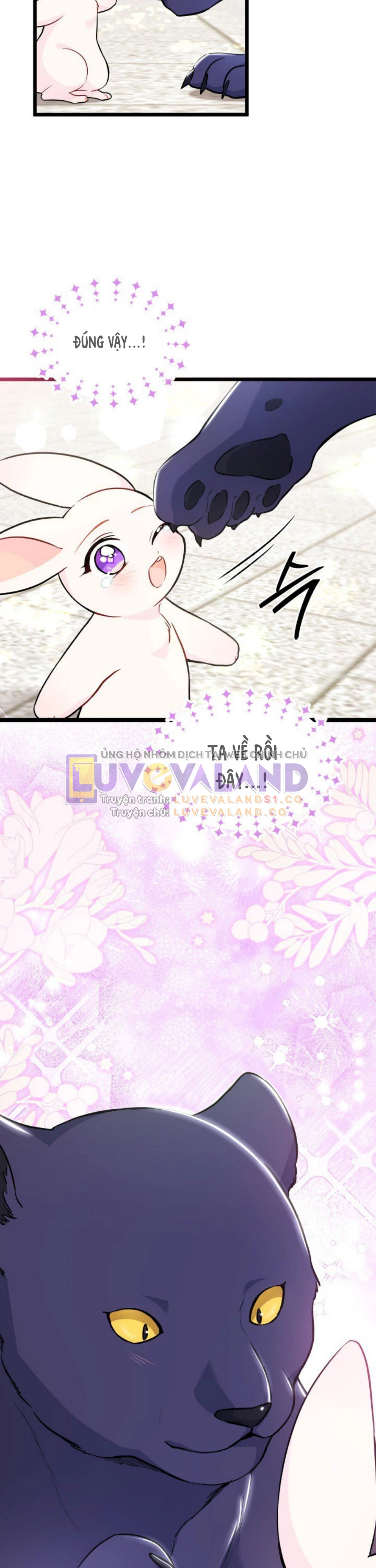 Mối Liên Kết Giữa Báo Đen Và Bé Thỏ Chapter 134 - Trang 2