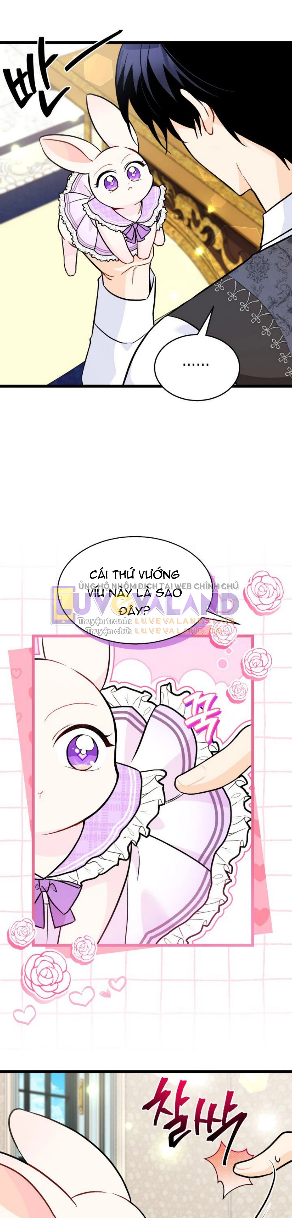 Mối Liên Kết Giữa Báo Đen Và Bé Thỏ Chapter 135 - Trang 2
