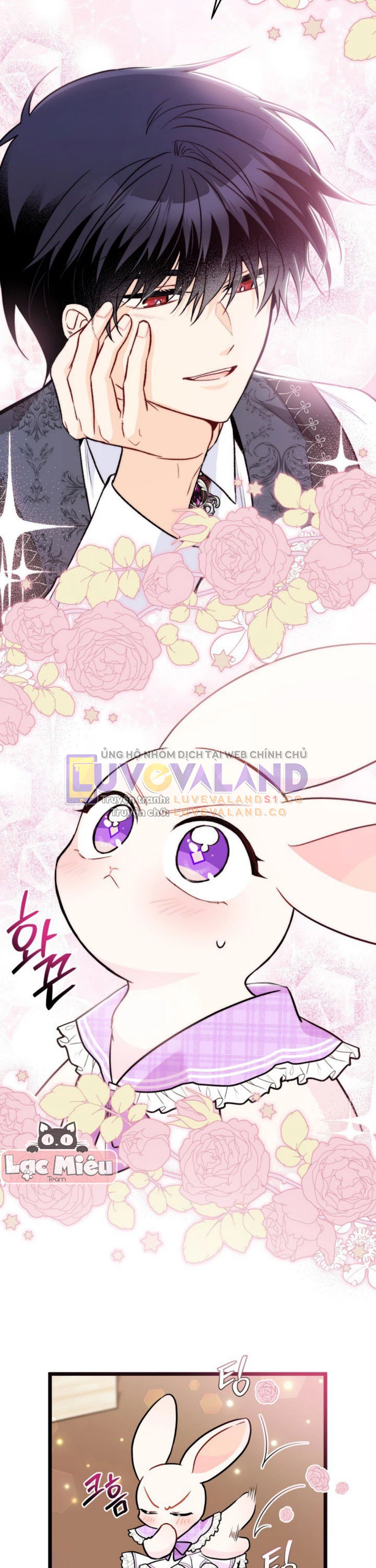Mối Liên Kết Giữa Báo Đen Và Bé Thỏ Chapter 135 - Trang 2