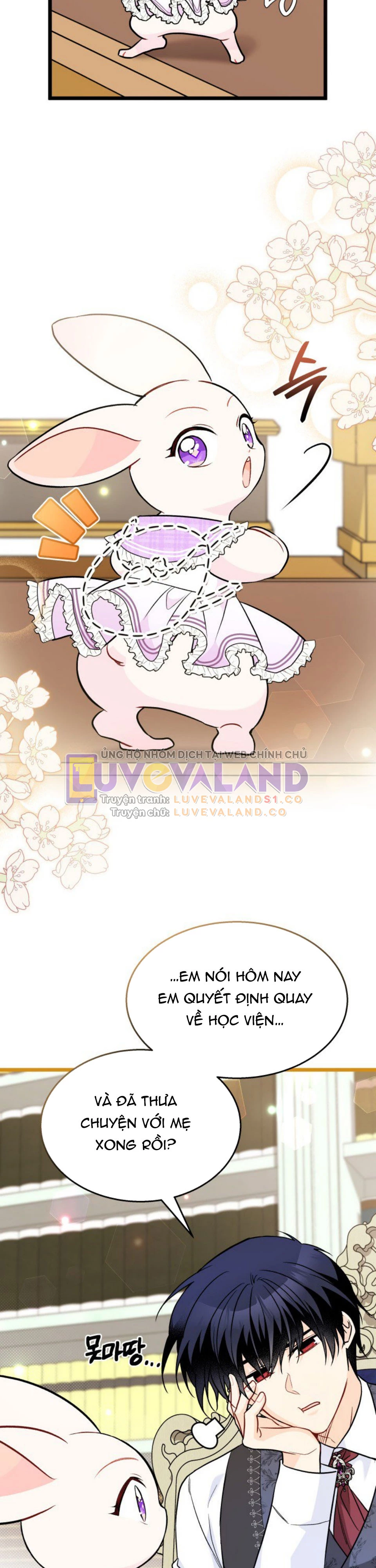 Mối Liên Kết Giữa Báo Đen Và Bé Thỏ Chapter 135 - Trang 2