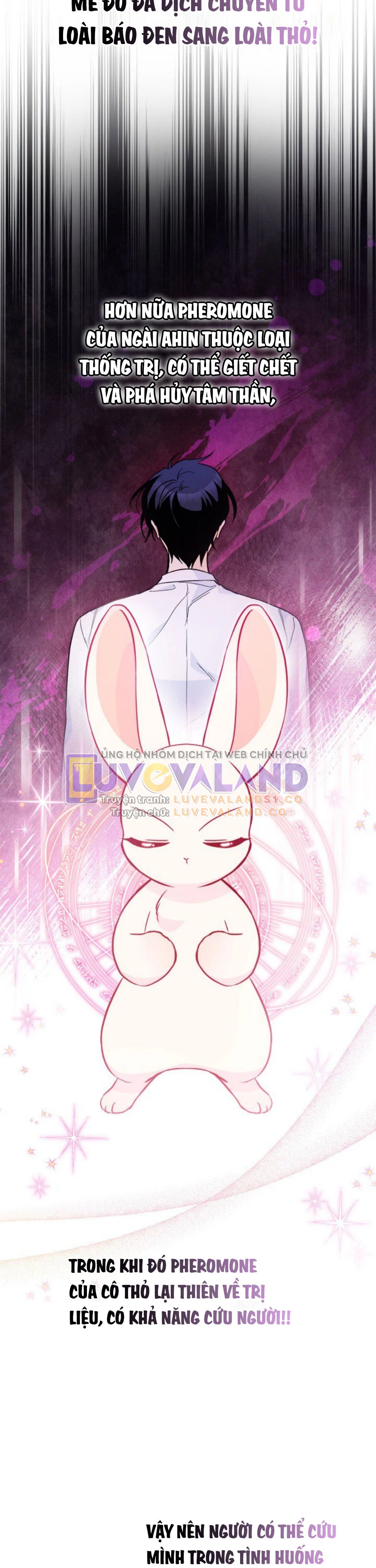 Mối Liên Kết Giữa Báo Đen Và Bé Thỏ Chapter 136 - Trang 2