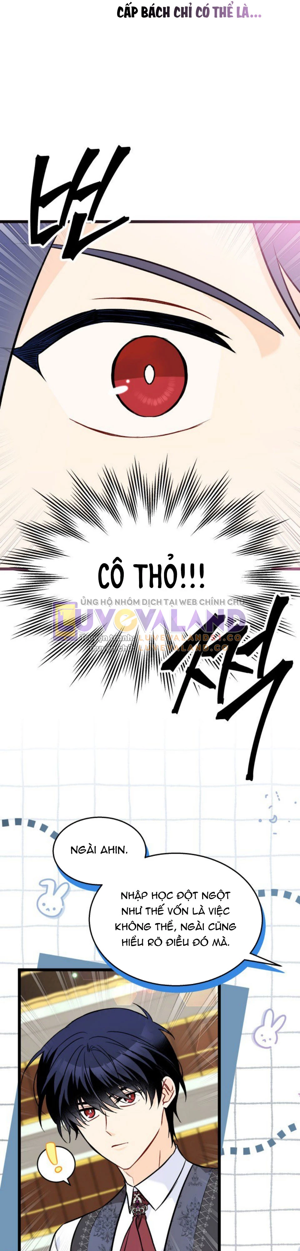 Mối Liên Kết Giữa Báo Đen Và Bé Thỏ Chapter 136 - Trang 2