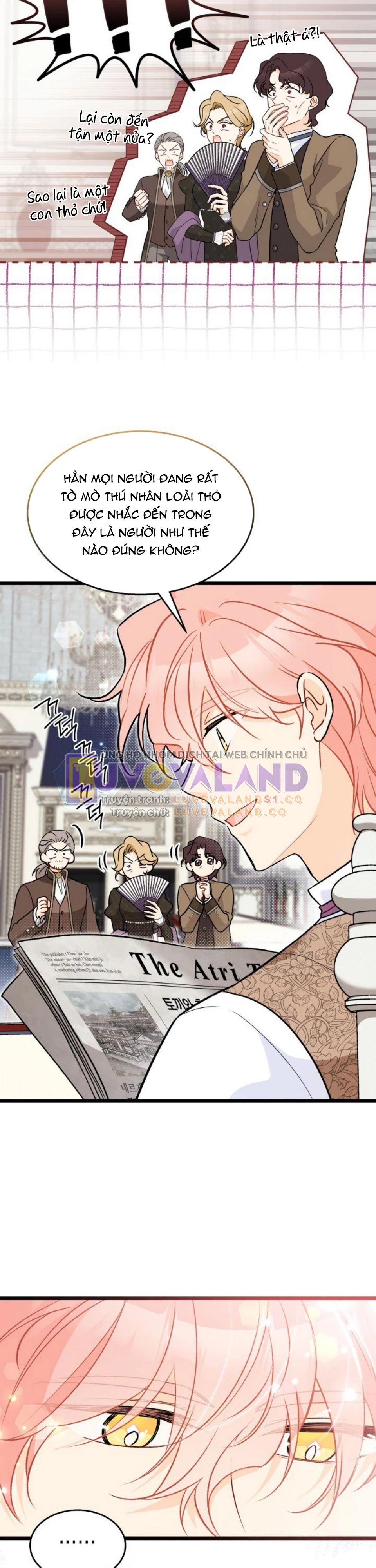 Mối Liên Kết Giữa Báo Đen Và Bé Thỏ Chapter 136 - Trang 2