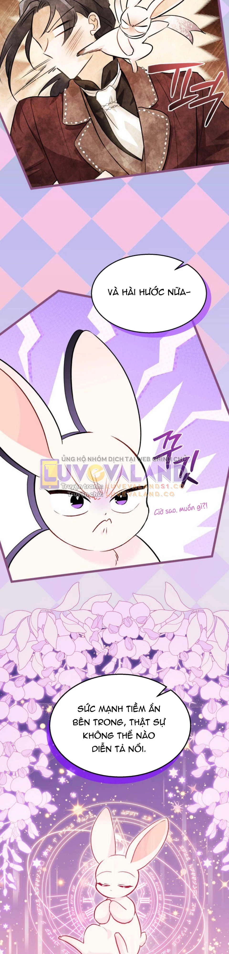 Mối Liên Kết Giữa Báo Đen Và Bé Thỏ Chapter 136 - Trang 2