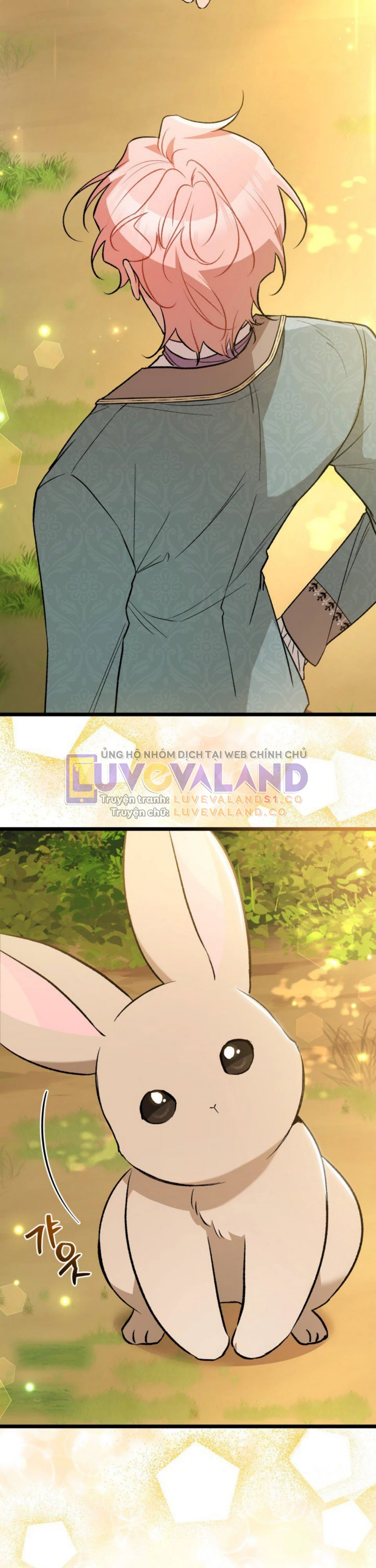 Mối Liên Kết Giữa Báo Đen Và Bé Thỏ Chapter 136 - Trang 2