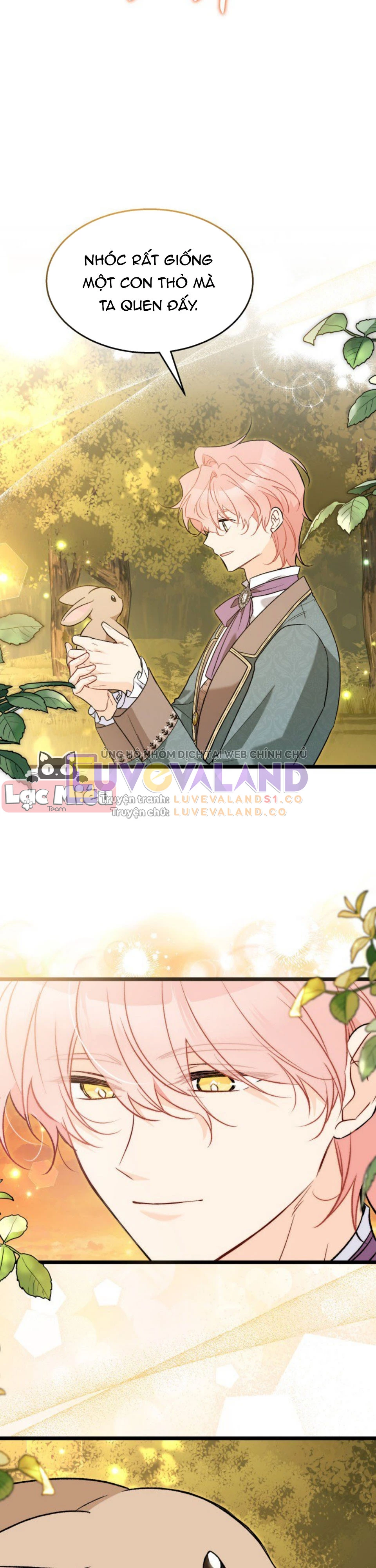 Mối Liên Kết Giữa Báo Đen Và Bé Thỏ Chapter 136 - Trang 2