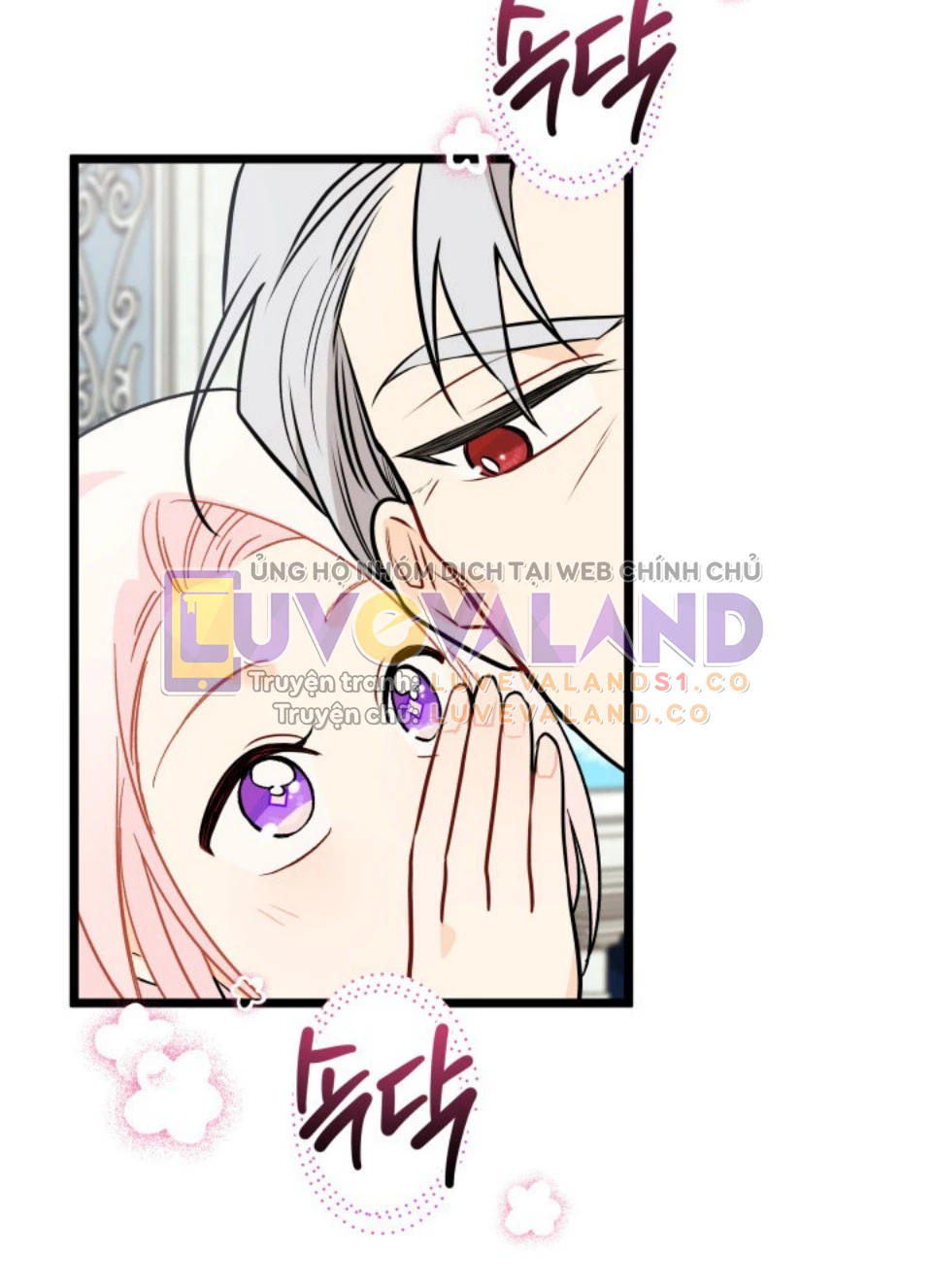 Mối Liên Kết Giữa Báo Đen Và Bé Thỏ Chapter 142 - Trang 2