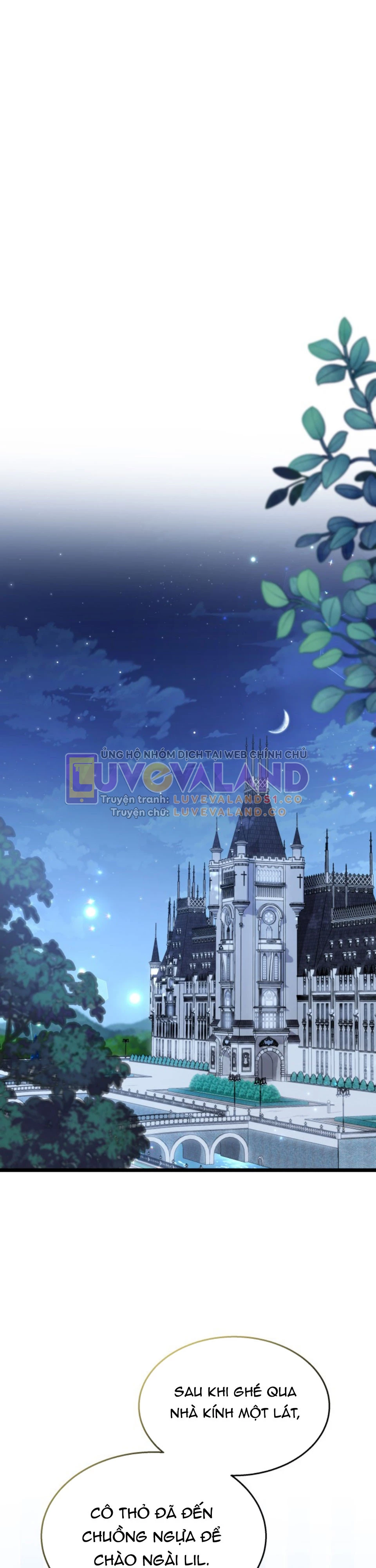 Mối Liên Kết Giữa Báo Đen Và Bé Thỏ Chapter 142 - Trang 2