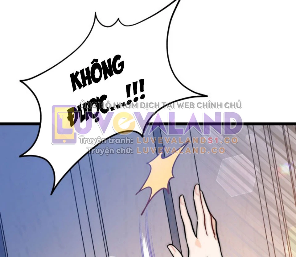 Mối Liên Kết Giữa Báo Đen Và Bé Thỏ Chapter 144 - Trang 2