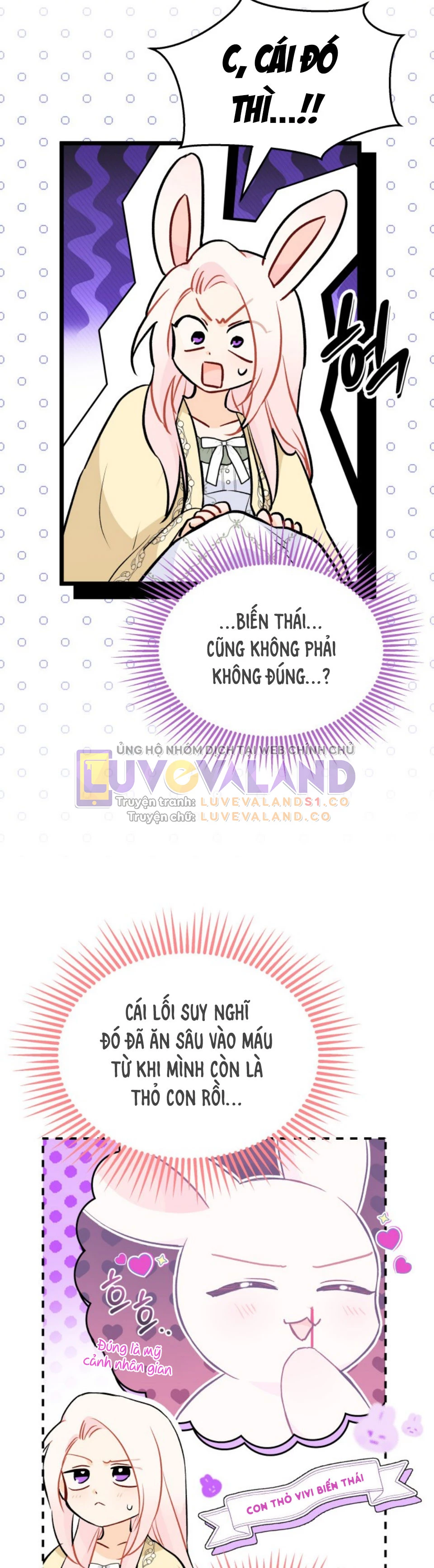 Mối Liên Kết Giữa Báo Đen Và Bé Thỏ Chapter 144 - Trang 2