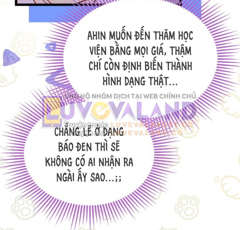 Mối Liên Kết Giữa Báo Đen Và Bé Thỏ Chapter 145 - Trang 2