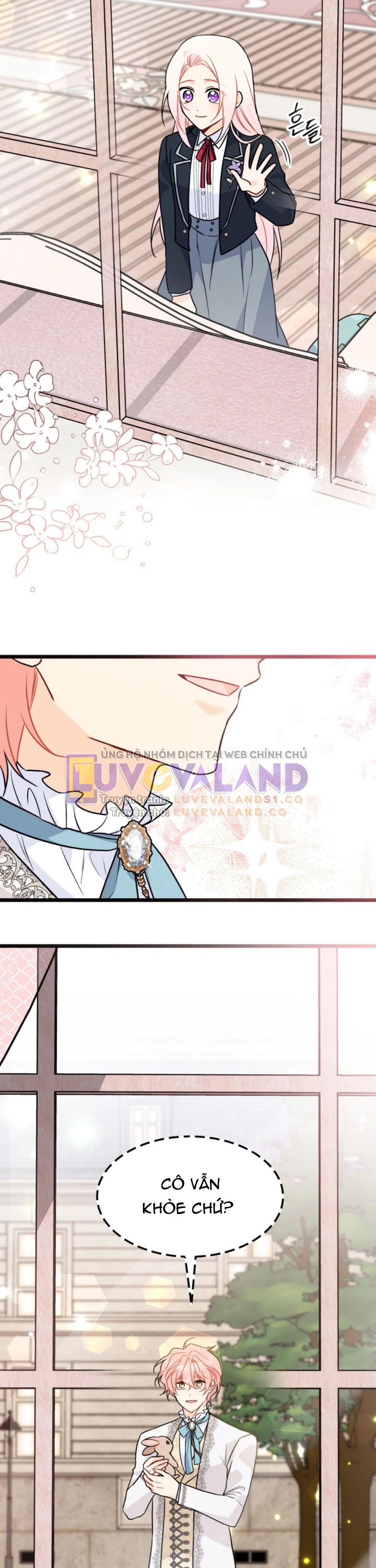 Mối Liên Kết Giữa Báo Đen Và Bé Thỏ Chapter 145 - Trang 2