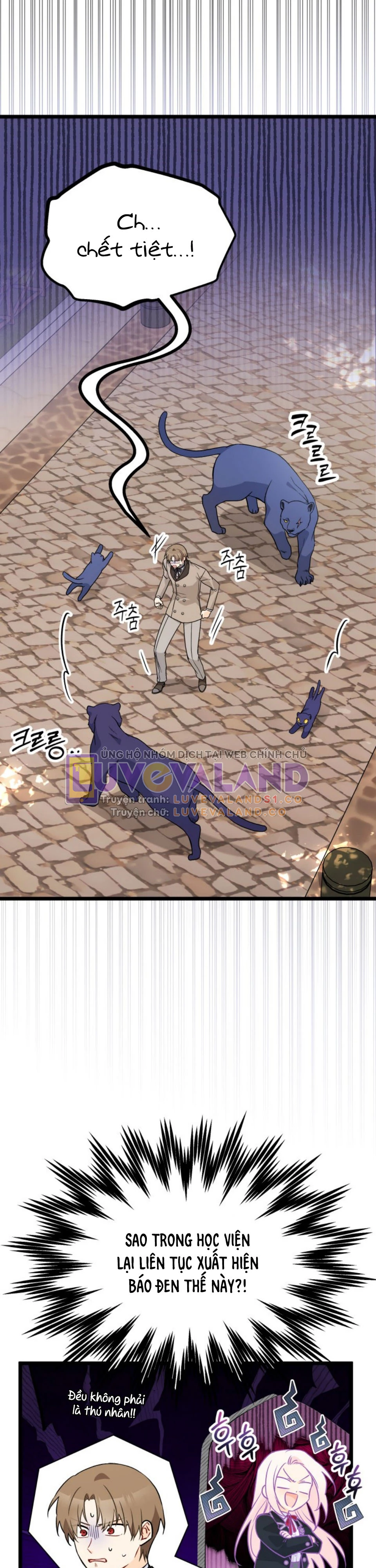 Mối Liên Kết Giữa Báo Đen Và Bé Thỏ Chapter 146 - Trang 2