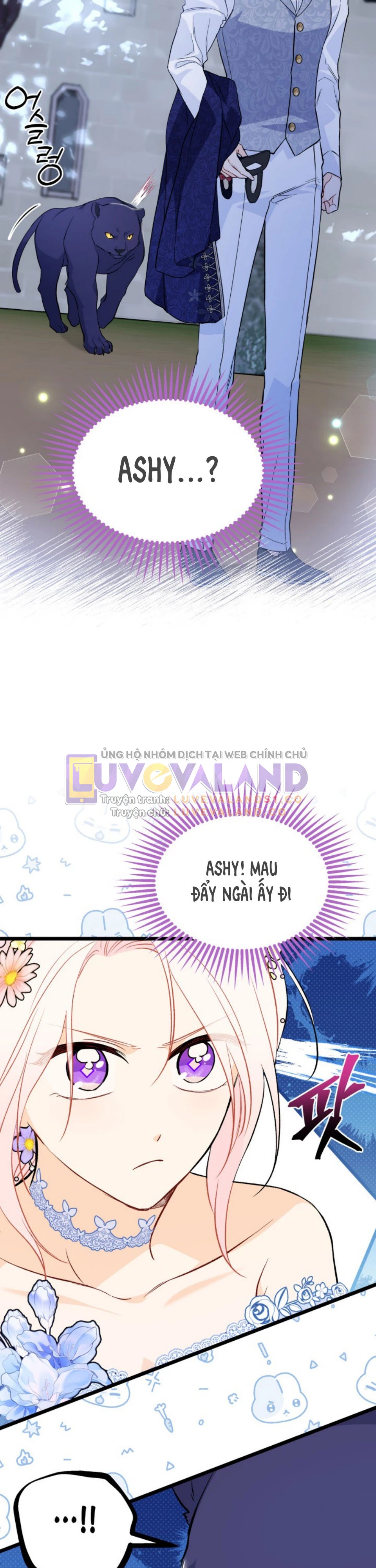 Mối Liên Kết Giữa Báo Đen Và Bé Thỏ Chapter 149 - Trang 2