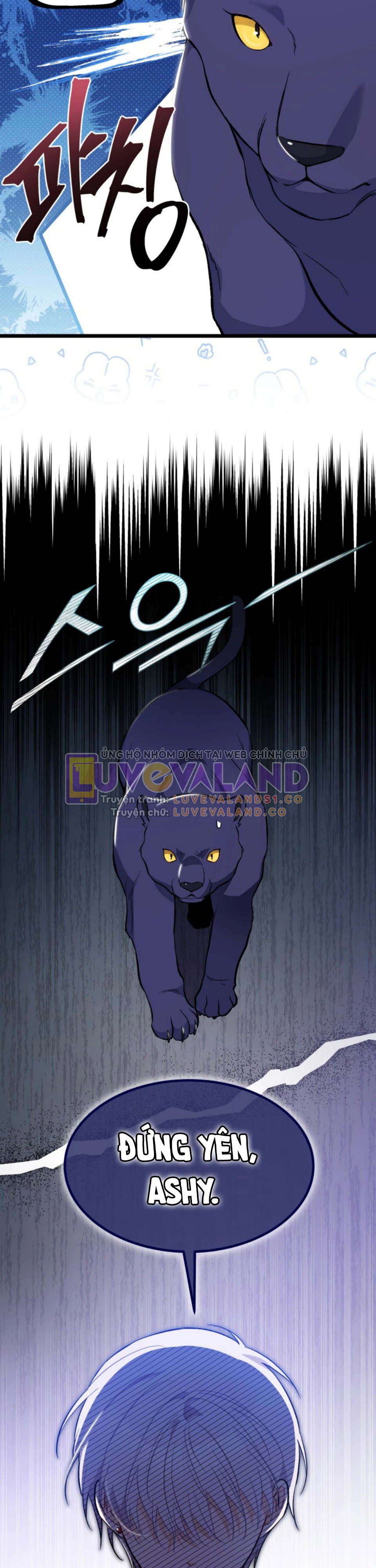Mối Liên Kết Giữa Báo Đen Và Bé Thỏ Chapter 149 - Trang 2