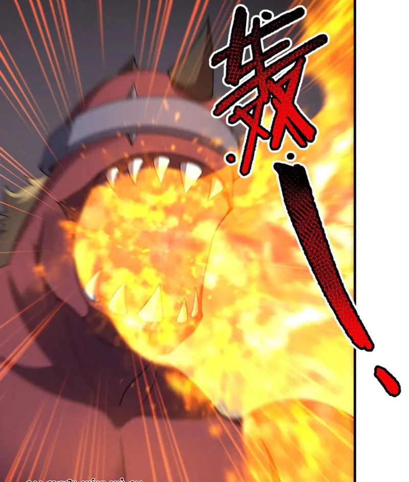 Thần Sủng Tiến Hóa Chapter 333 - Trang 4