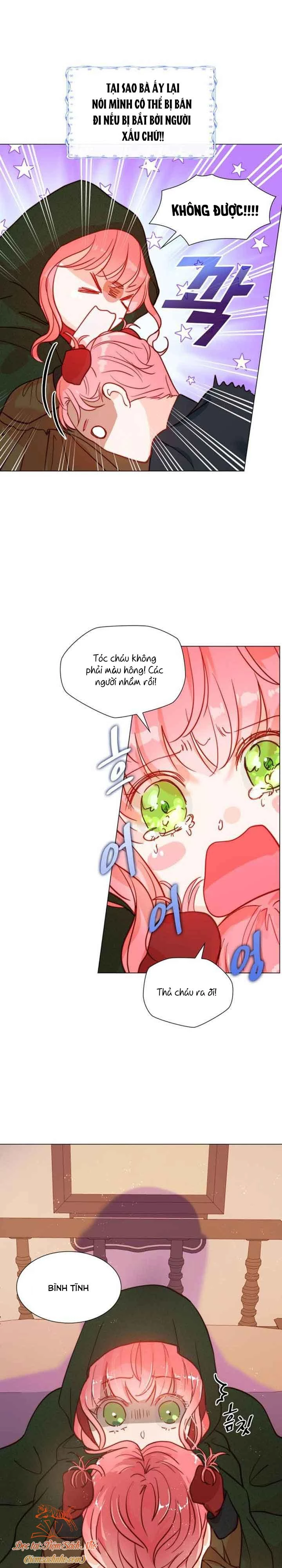 Tôi Được Sinh Ra Là Con Gái Thứ Hai Chapter 1 - Trang 4