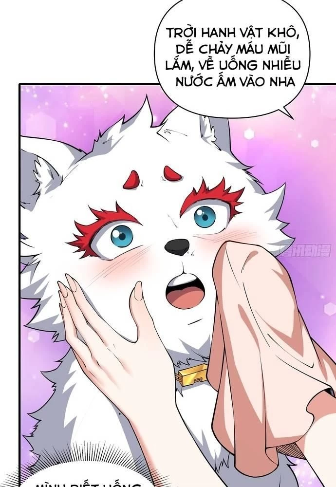 Xuyên Không Thành Npc: Ta Có Lão Bà Che Chở Chapter 13 - Trang 3