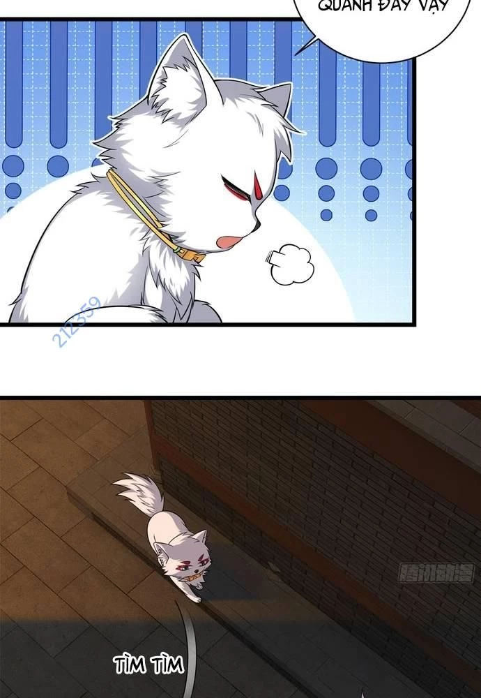 Xuyên Không Thành Npc: Ta Có Lão Bà Che Chở Chapter 15 - Trang 3