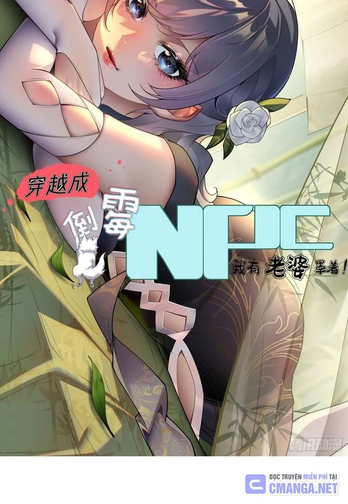 Xuyên Không Thành Npc: Ta Có Lão Bà Che Chở Chapter 21 - Trang 3