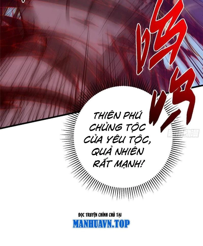Chưởng Môn Khiêm Tốn Chút Chapter 404 - Trang 4