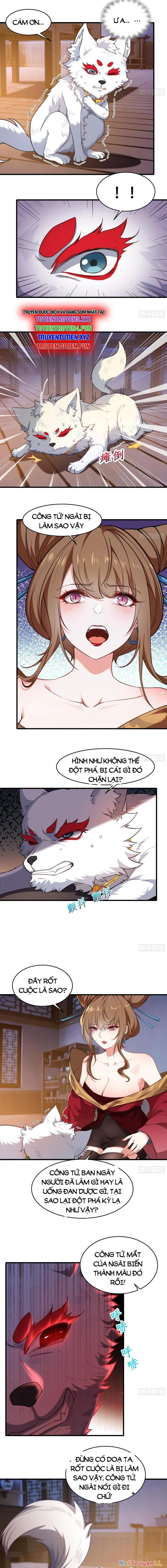 Xuyên Không Thành Npc: Ta Có Lão Bà Che Chở Chapter 39 - Trang 3