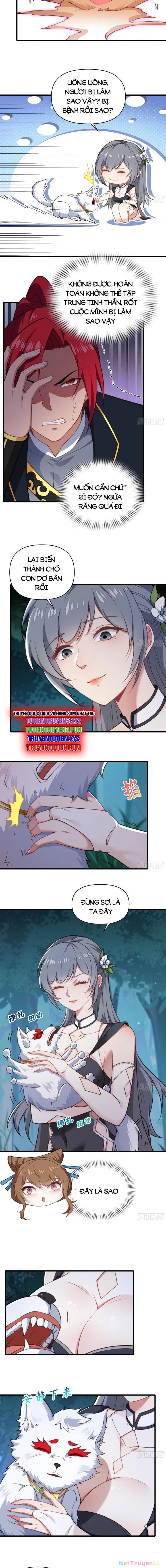 Xuyên Không Thành Npc: Ta Có Lão Bà Che Chở Chapter 39 - Trang 3