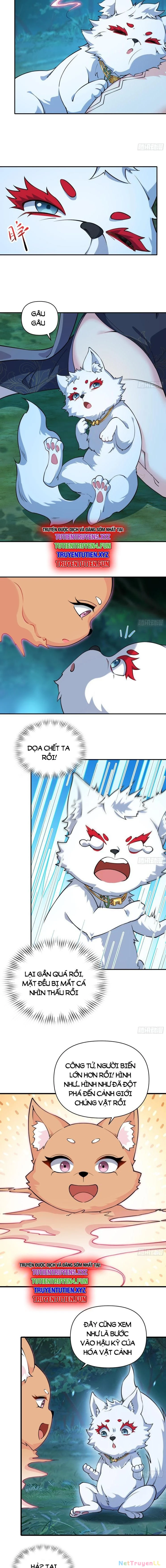 Xuyên Không Thành Npc: Ta Có Lão Bà Che Chở Chapter 40 - Trang 3