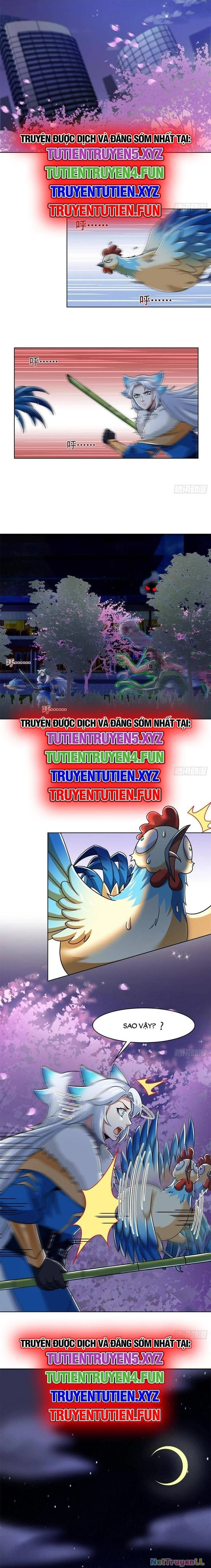 Cường Giả Đến Từ Trại Tâm Thần Chapter 286 - Trang 4