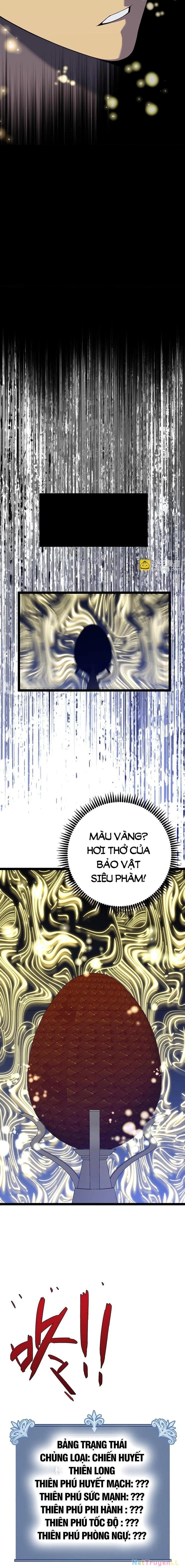 Thiên Phú Của Ngươi, Giờ Là Của Ta Chapter 86 - Trang 4