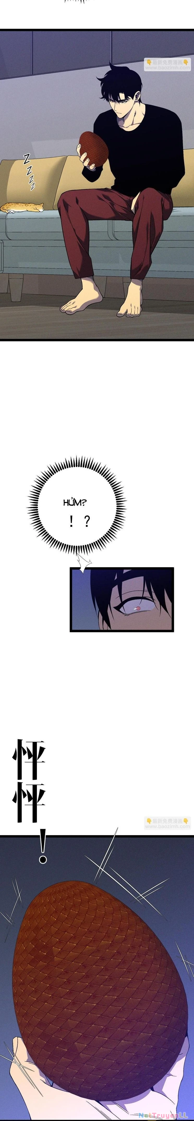Thiên Phú Của Ngươi, Giờ Là Của Ta Chapter 88 - Trang 4
