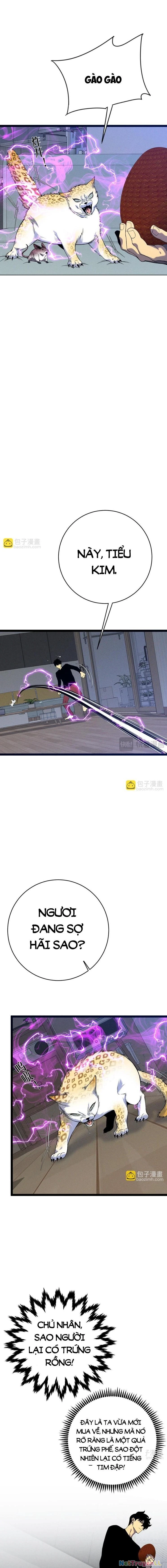 Thiên Phú Của Ngươi, Giờ Là Của Ta Chapter 89 - Trang 4