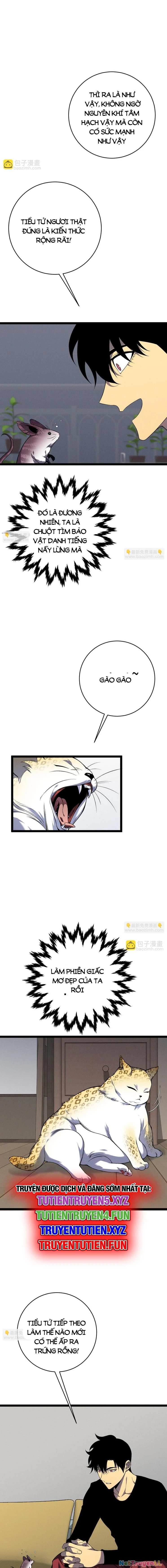 Thiên Phú Của Ngươi, Giờ Là Của Ta Chapter 89 - Trang 4