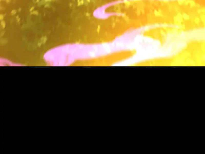 Bắt Đầu Chấn Kinh Nữ Đế Lão Bà, Ta Vô Địch! Chapter 34 - Trang 4