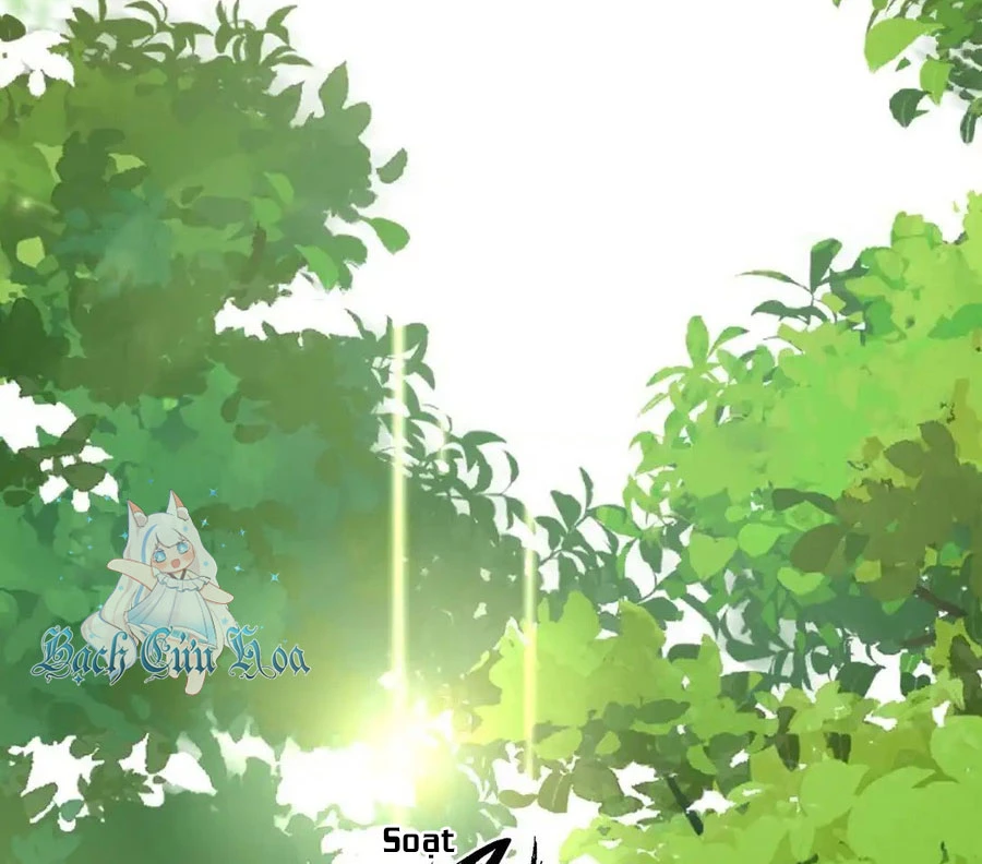 Vượt Cấp Xuyên Không, Tại Sao Tôi Lại Trở Thành Tiểu Thư Tu Sĩ? Chapter 1 - Trang 3