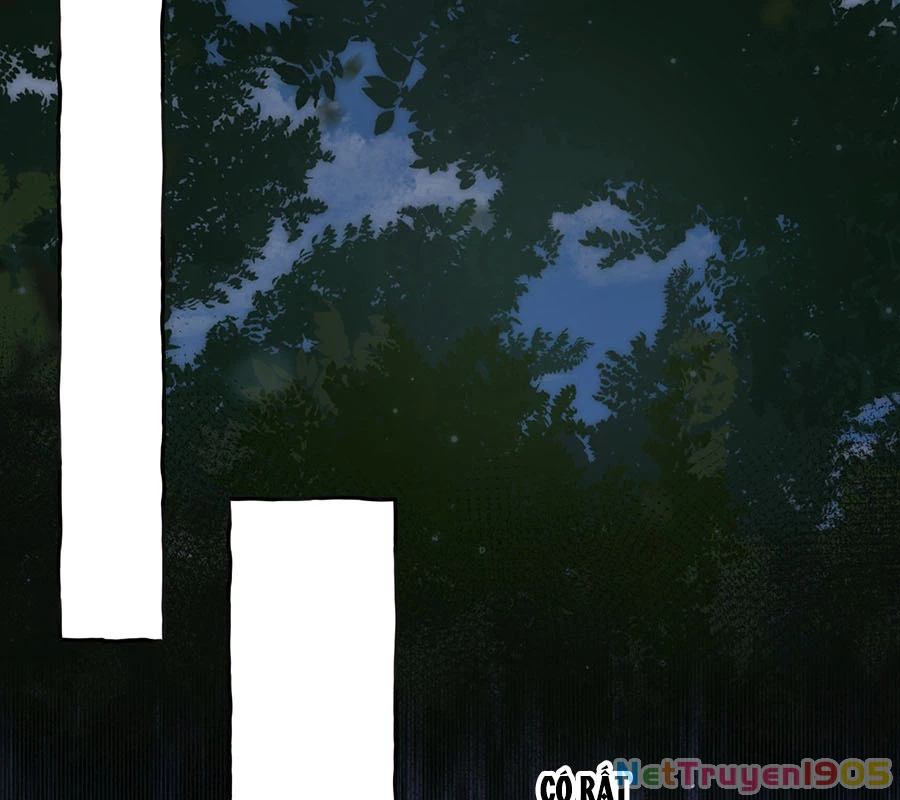 Vượt Cấp Xuyên Không, Tại Sao Tôi Lại Trở Thành Tiểu Thư Tu Sĩ? Chapter 2 - Trang 3