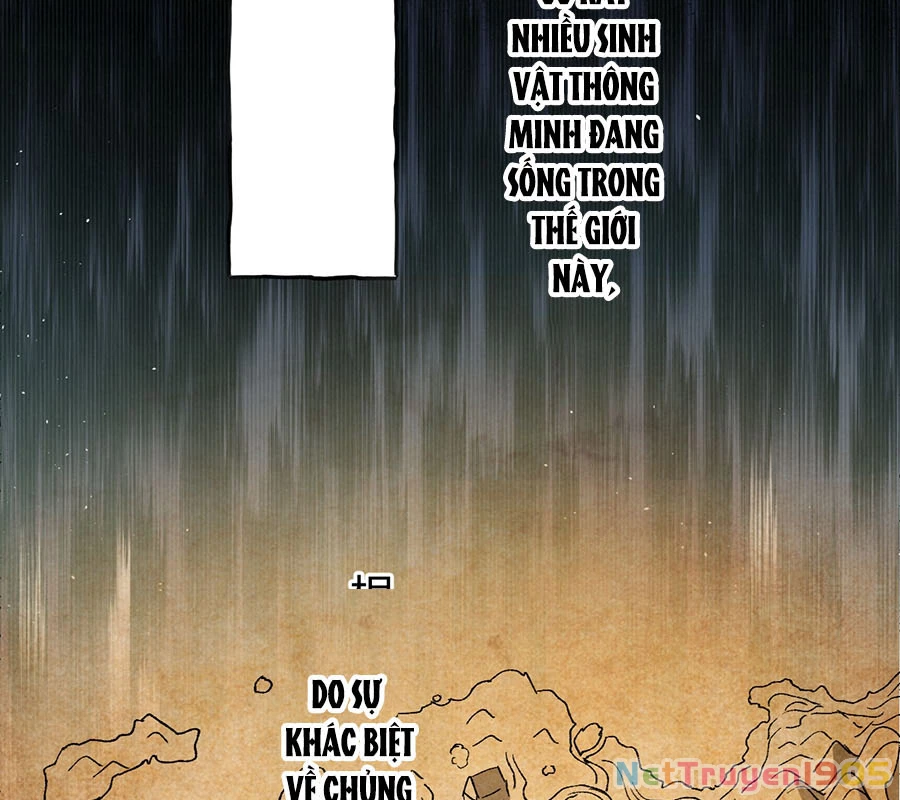 Vượt Cấp Xuyên Không, Tại Sao Tôi Lại Trở Thành Tiểu Thư Tu Sĩ? Chapter 2 - Trang 3