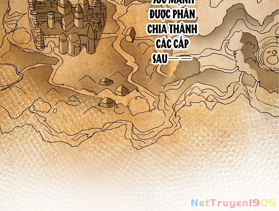 Vượt Cấp Xuyên Không, Tại Sao Tôi Lại Trở Thành Tiểu Thư Tu Sĩ? Chapter 2 - Trang 3