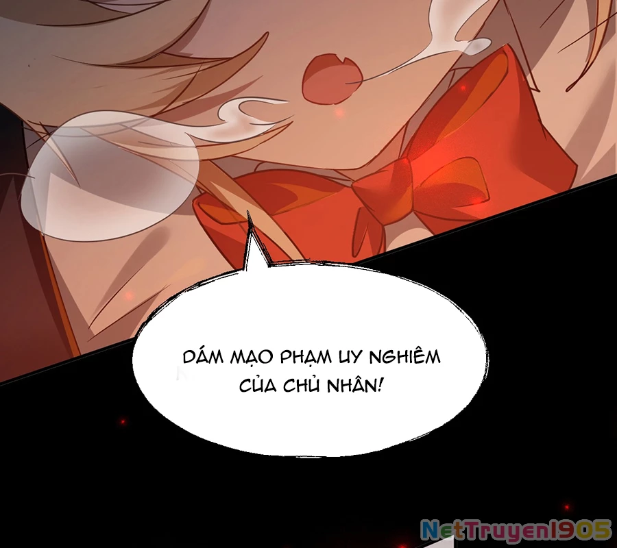 Vượt Cấp Xuyên Không, Tại Sao Tôi Lại Trở Thành Tiểu Thư Tu Sĩ? Chapter 3 - Trang 3