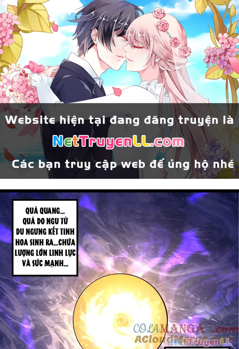 Chuyển Sinh Thành Liễu Đột Biến Chapter 261 - Trang 4